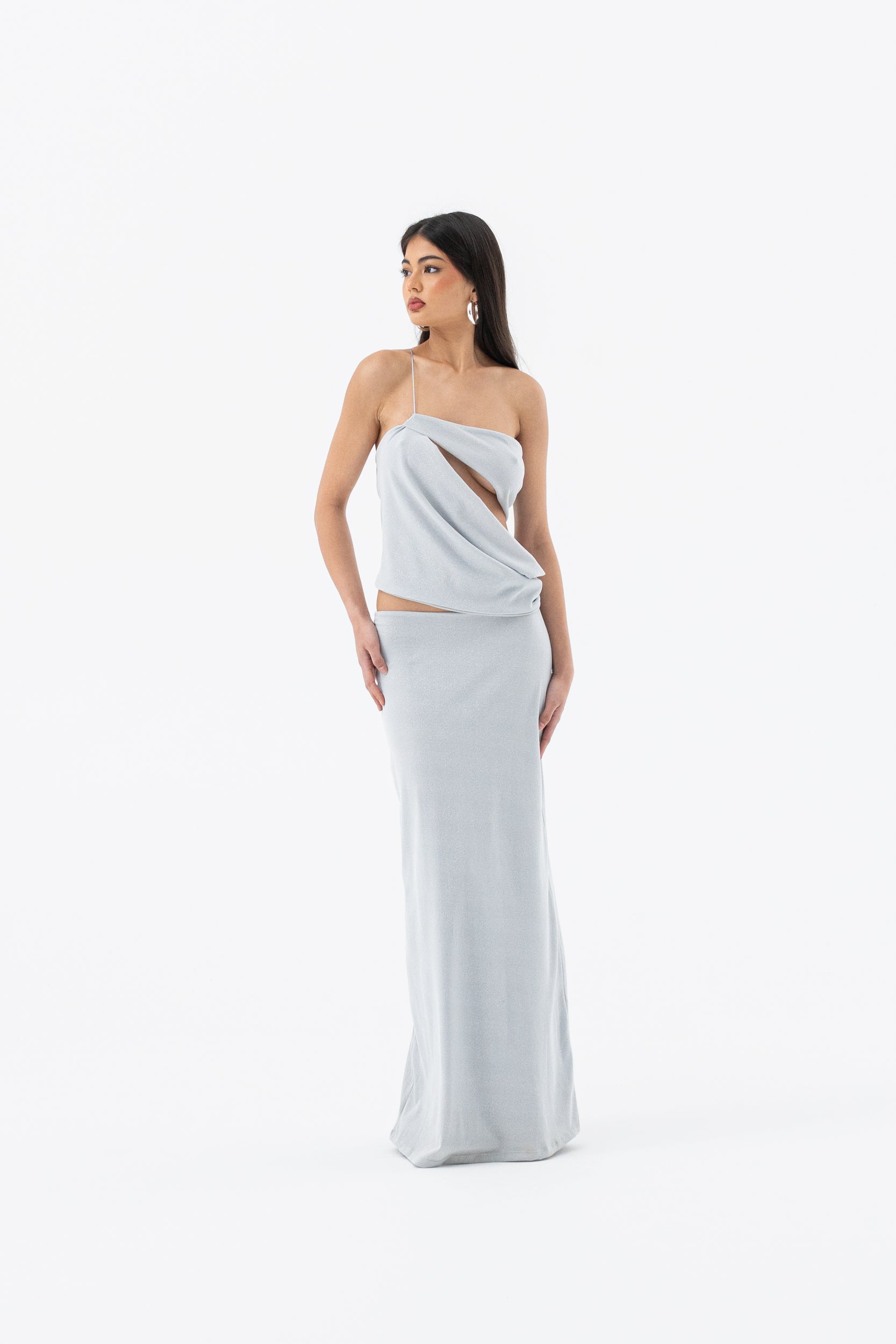 GEORGIE DRESS | SILVER HNTR THE LABEL