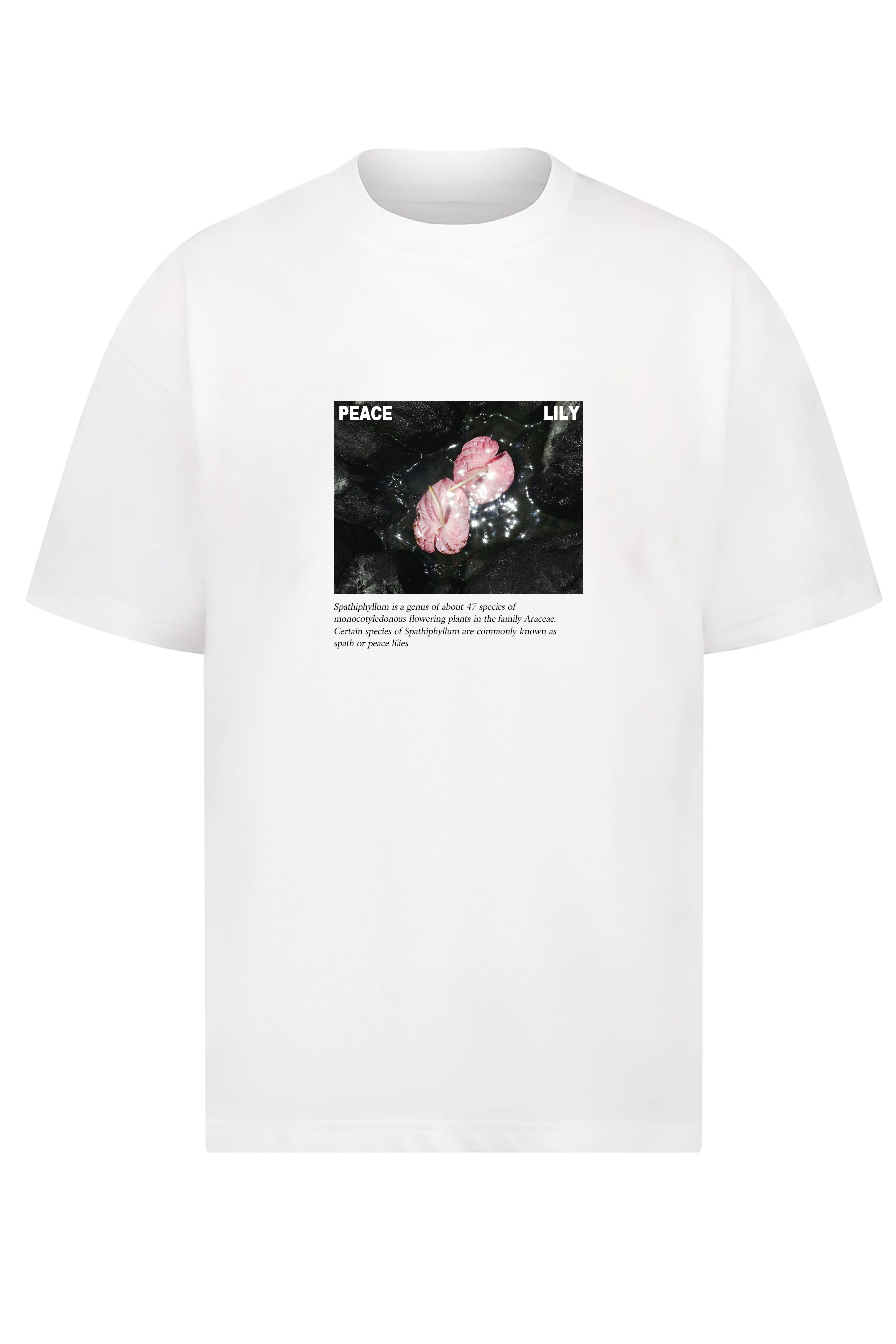 Boyfriend Tee | Peace Lily